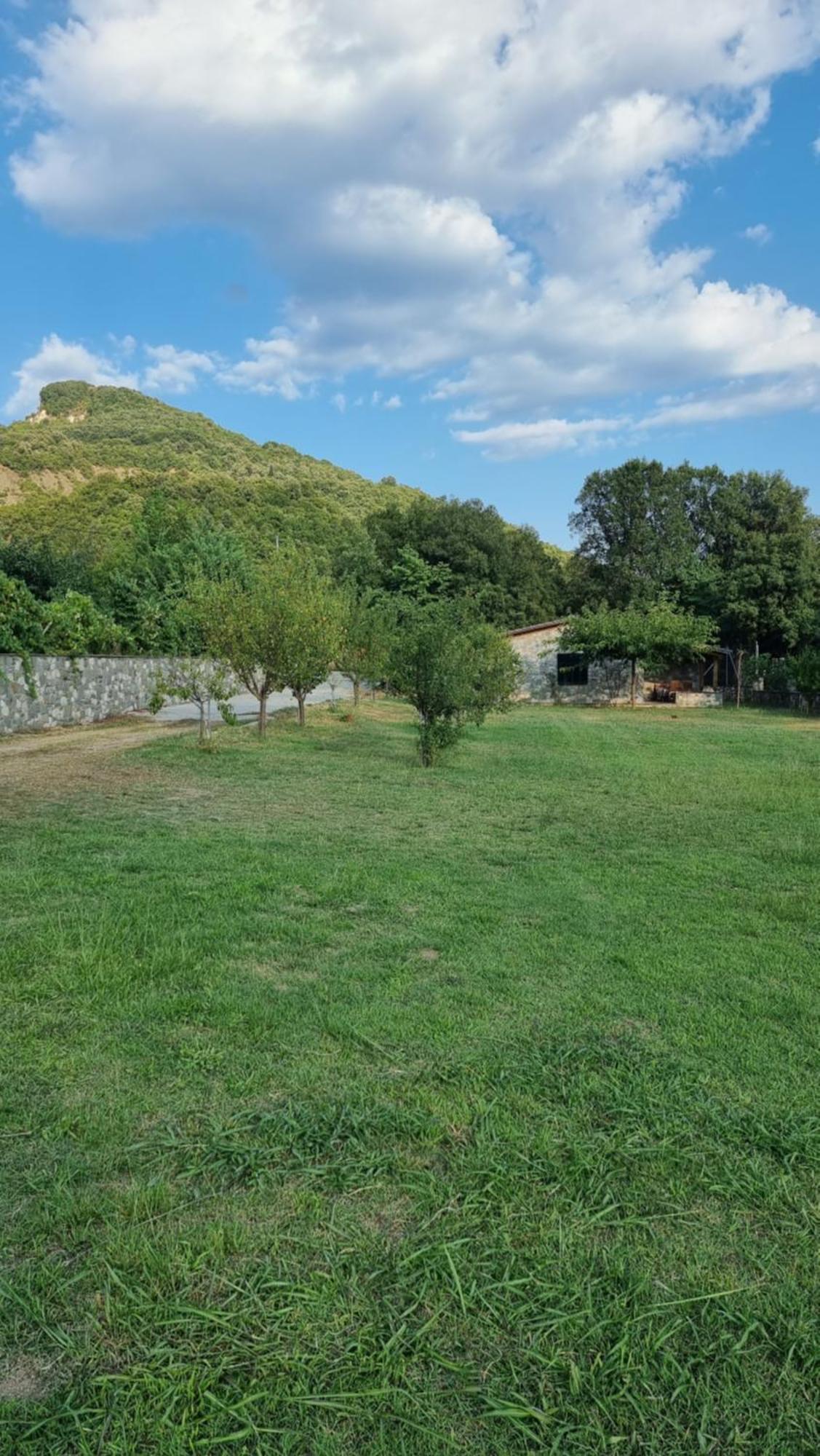 House With Big Garden And Barbeque In Nature Βουργαρέλι Εξωτερικό φωτογραφία